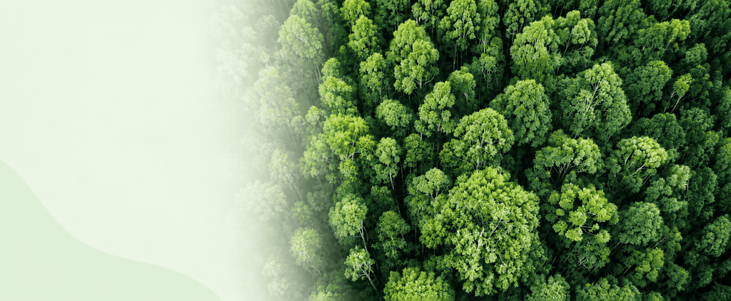 blurred image of green trees seen from above